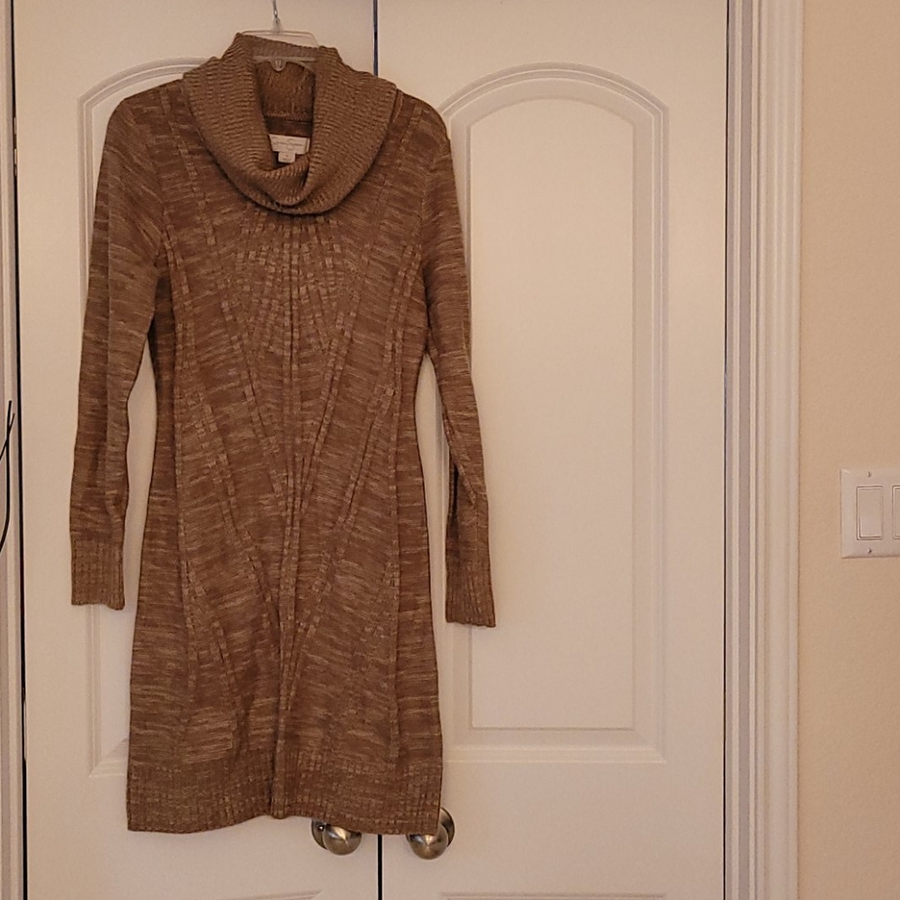 Sweater Dress no rips, tears or stains.